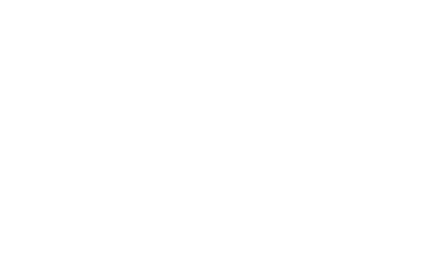 Kaipability Vision